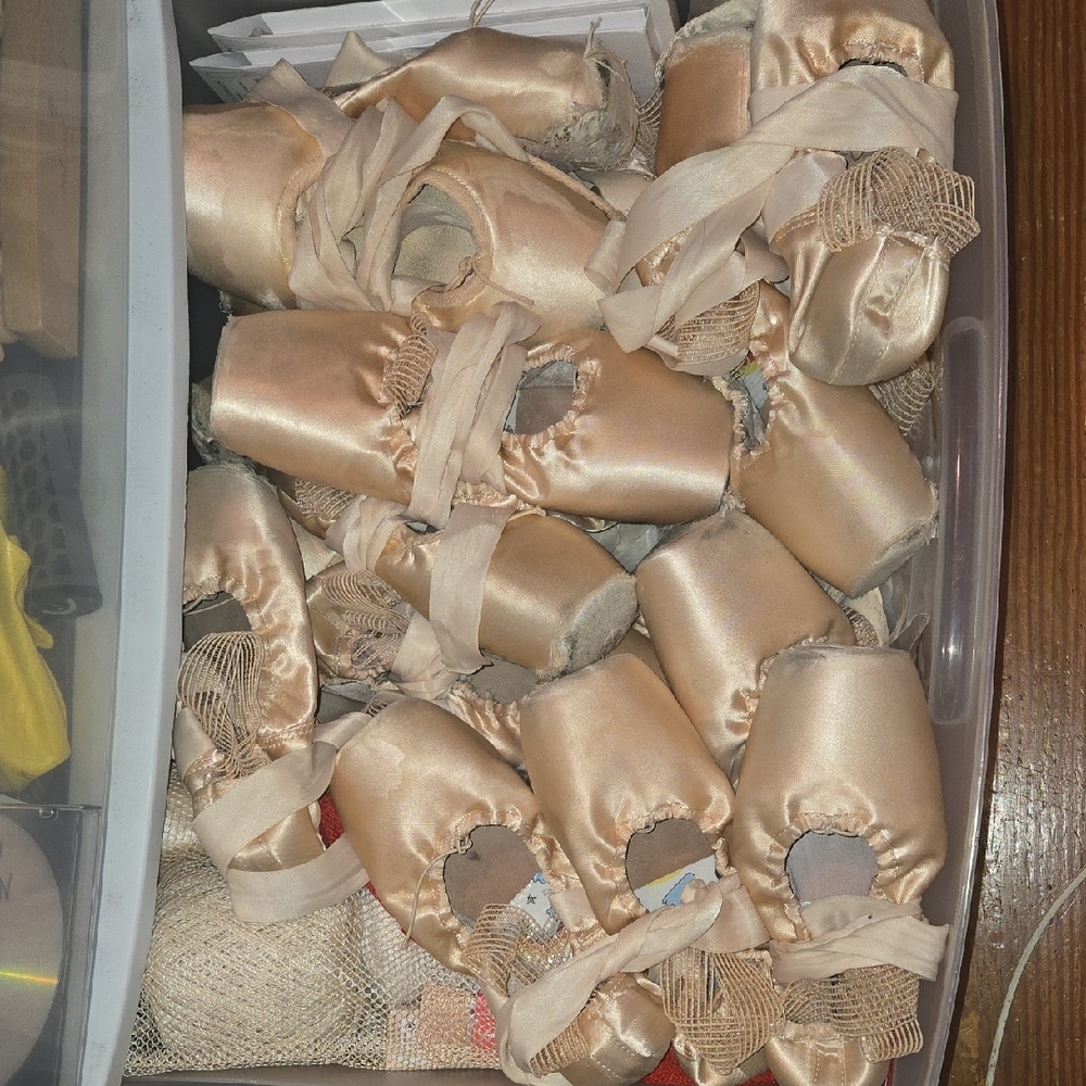 Heavily Used Ballet Pointe Shoes